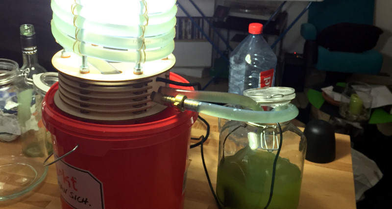 algal-farm-blogview