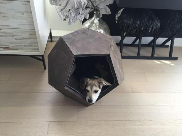 doghouse-dodecahedron1